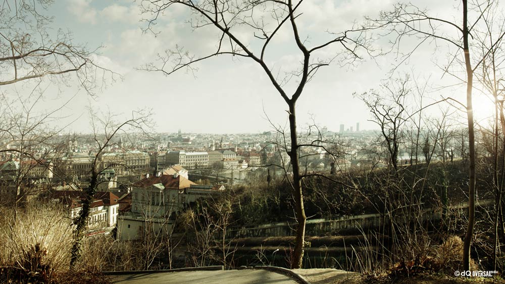 City view through the trees on the hill - 丘の上の木を通じシティビュー SKU: la-0018