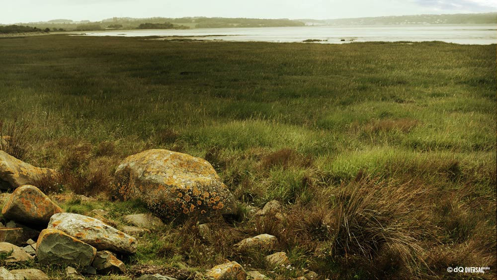 Rocks scattered in the meadow by the sea SKU: la-0076