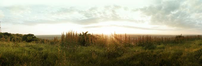 La puesta del sol de primavera caliente encima del campo de hierba la-0012c